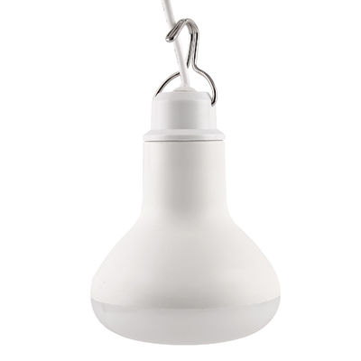 10W LED USB Blub Light Adjustable Switch For Outdoor Lighting