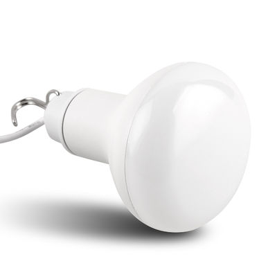 10W LED USB Blub Light Adjustable Switch For Outdoor Lighting